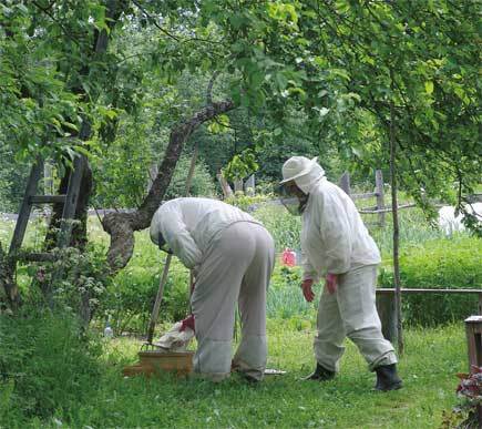 Пчеловодство. Большая иллюстрированная энциклопедия - i_395.jpg