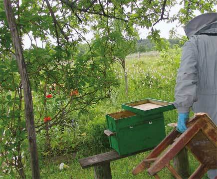 Пчеловодство. Большая иллюстрированная энциклопедия - i_415.jpg