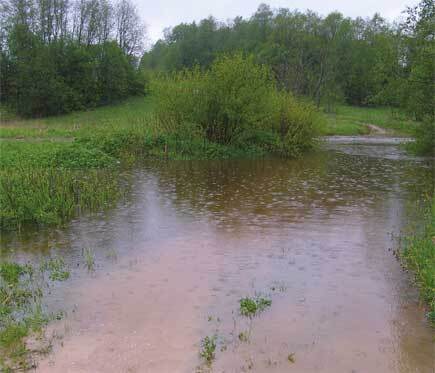 Пчеловодство. Большая иллюстрированная энциклопедия - i_598.jpg