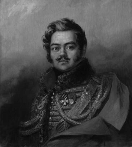 Опыт теории партизанского действия. Записки партизана - i_001.jpg