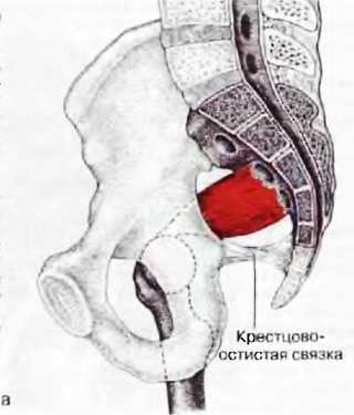 Миофасциальные боли и дисфункции. Руководство по триггерным точкам (в 2-х томах). Том 2. Нижние конечности - _01.jpg_9