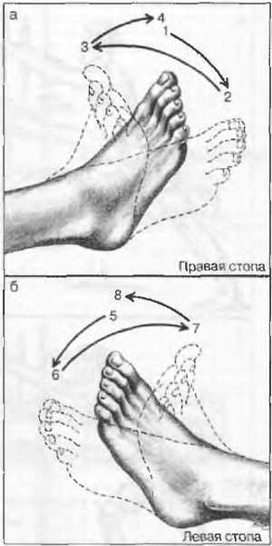 Миофасциальные боли и дисфункции. Руководство по триггерным точкам (в 2-х томах). Том 2. Нижние конечности - _06.jpg_14