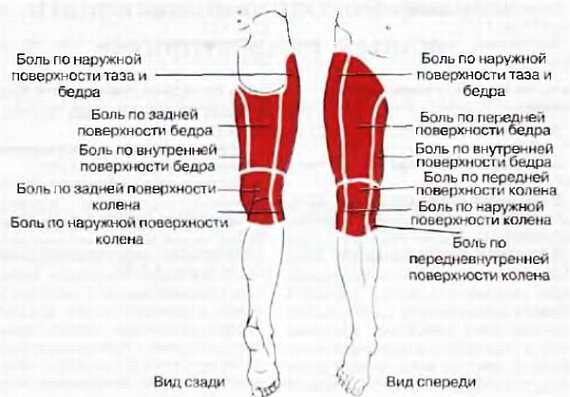 Миофасциальные боли и дисфункции. Руководство по триггерным точкам (в 2-х томах). Том 2. Нижние конечности - _08.jpg_3