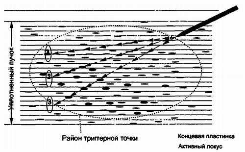 Миофасциальные боли и дисфункции. Руководство по триггерным точкам (в 2-х томах). Том 1. Верхняя половина туловища - _00.jpg_0