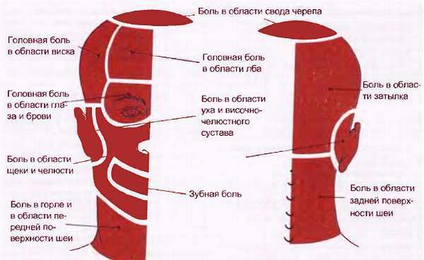Миофасциальные боли и дисфункции. Руководство по триггерным точкам (в 2-х томах). Том 1. Верхняя половина туловища - _00.jpg_7