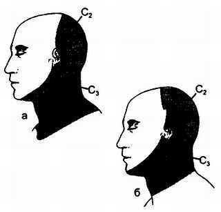 Миофасциальные боли и дисфункции. Руководство по триггерным точкам (в 2-х томах). Том 1. Верхняя половина туловища - _00.jpg_9