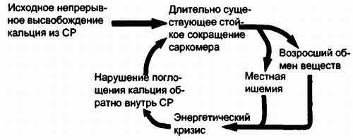 Миофасциальные боли и дисфункции. Руководство по триггерным точкам (в 2-х томах). Том 1. Верхняя половина туловища - _06.jpg_0