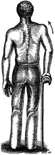 Миофасциальные боли и дисфункции. Руководство по триггерным точкам (в 2-х томах). Том 1. Верхняя половина туловища - _02.jpg_22