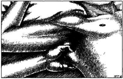 Миофасциальные боли и дисфункции. Руководство по триггерным точкам (в 2-х томах). Том 1. Верхняя половина туловища - _03.jpg_22