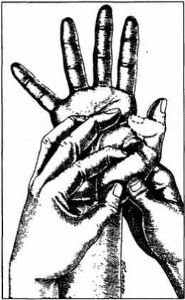 Миофасциальные боли и дисфункции. Руководство по триггерным точкам (в 2-х томах). Том 1. Верхняя половина туловища - _03.jpg_32