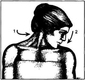 Миофасциальные боли и дисфункции. Руководство по триггерным точкам (в 2-х томах). Том 1. Верхняя половина туловища - _04.jpg_18