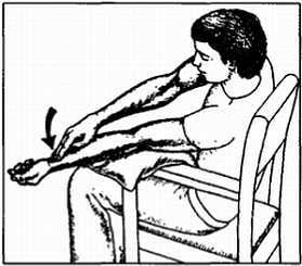 Миофасциальные боли и дисфункции. Руководство по триггерным точкам (в 2-х томах). Том 1. Верхняя половина туловища - _05.jpg_22