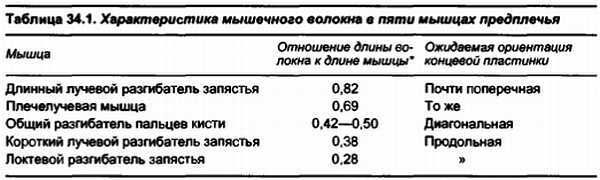 Миофасциальные боли и дисфункции. Руководство по триггерным точкам (в 2-х томах). Том 1. Верхняя половина туловища - _06.jpg_22