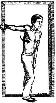 Миофасциальные боли и дисфункции. Руководство по триггерным точкам (в 2-х томах). Том 1. Верхняя половина туловища - _07.jpg_15