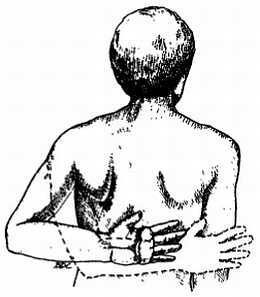 Миофасциальные боли и дисфункции. Руководство по триггерным точкам (в 2-х томах). Том 1. Верхняя половина туловища - _08.jpg_10