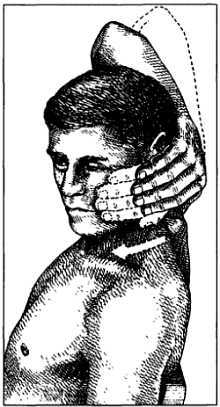 Миофасциальные боли и дисфункции. Руководство по триггерным точкам (в 2-х томах). Том 1. Верхняя половина туловища - _09.jpg_5