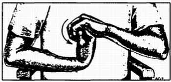 Миофасциальные боли и дисфункции. Руководство по триггерным точкам (в 2-х томах). Том 1. Верхняя половина туловища - _10.jpg_9