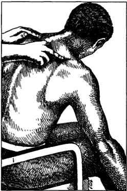 Миофасциальные боли и дисфункции. Руководство по триггерным точкам (в 2-х томах). Том 1. Верхняя половина туловища - _11.jpg_12