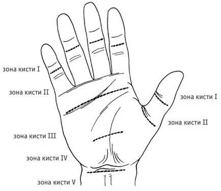 Атлас по оперативной хирургии верхней конечности - _260.jpg