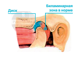 Ортодонтия. Практическое руководство - img_38.png