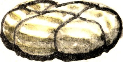 Из какого копытца напиться - i_025.jpg