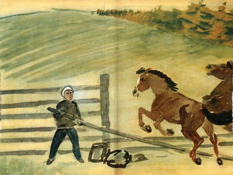 Из какого копытца напиться - i_055.jpg