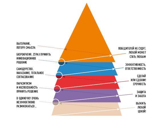 Спиральная динамика для бизнеса. Как создать сильную и быструю компанию - i_014.jpg