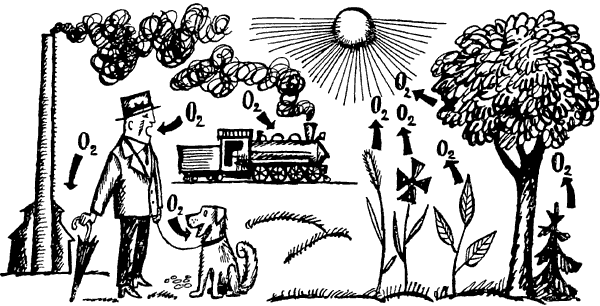 Путешествие в Страну элементов - i_054.png