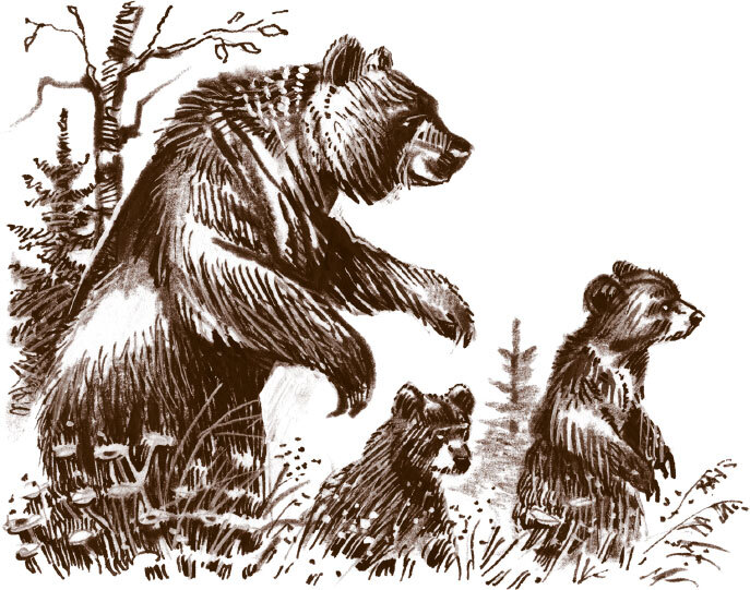 Томек и таинственное путешествие - i_019.jpg