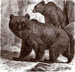 Томек и таинственное путешествие - i_020.jpg