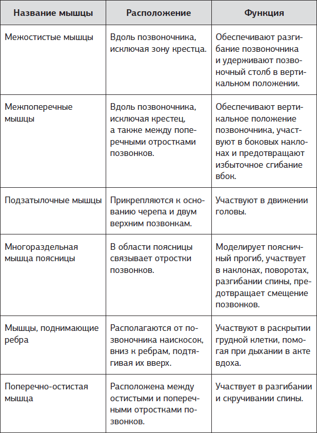 Истина в спине. Как избавиться от боли без уколов и операций - i_007.png