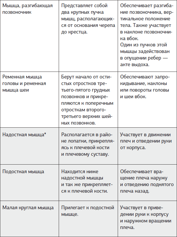 Истина в спине. Как избавиться от боли без уколов и операций - i_008.png