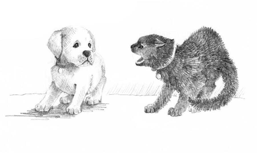 Щенок Элли, или Долгая дорога домой / Ellie the Homesick Puppy - i_006.jpg