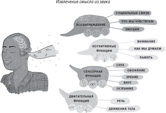 Мозг слушает. Как создается осмысленный звуковой мир - i_002.jpg