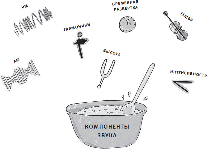 Мозг слушает. Как создается осмысленный звуковой мир - i_005.jpg