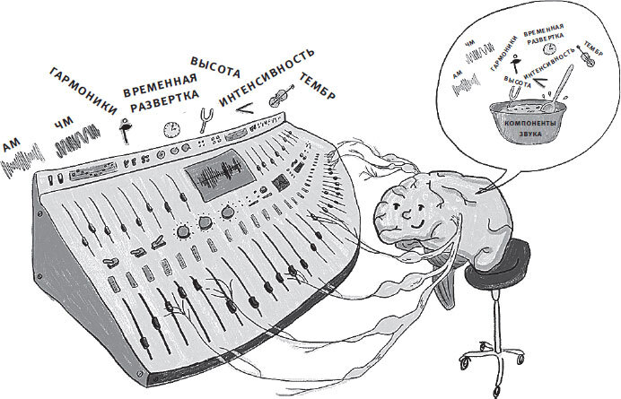 Мозг слушает. Как создается осмысленный звуковой мир - i_013.jpg