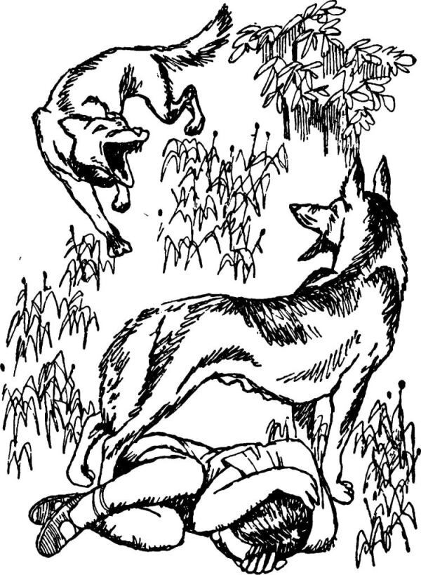 Чувства добрые - i_011.jpg