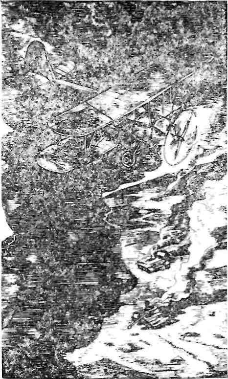 Дика - img_3.jpeg