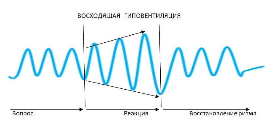 Детекция лжи от А до Я - _12.jpg