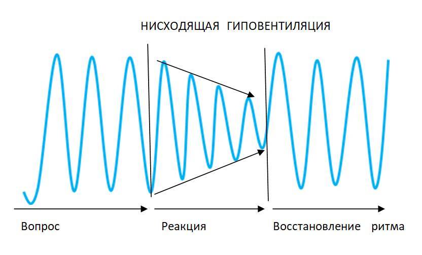 Детекция лжи от А до Я - _13.jpg