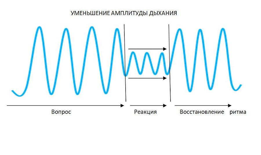 Детекция лжи от А до Я - _14.jpg