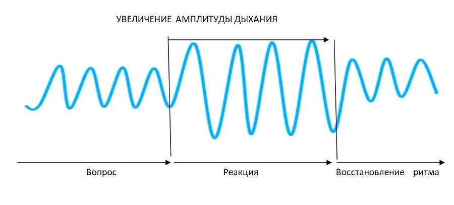 Детекция лжи от А до Я - _15.jpg