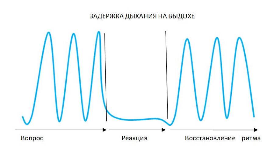 Детекция лжи от А до Я - _16.jpg