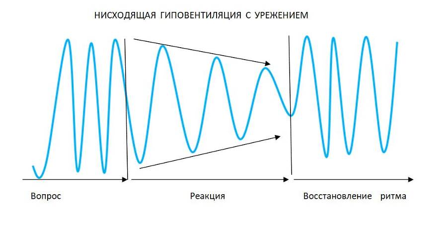 Детекция лжи от А до Я - _18.jpg