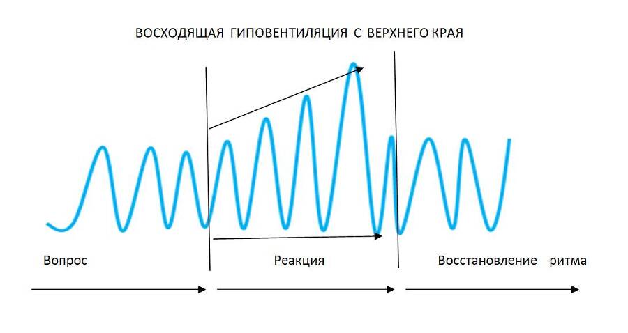 Детекция лжи от А до Я - _20.jpg