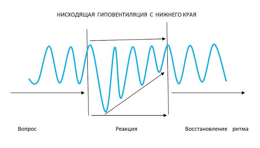 Детекция лжи от А до Я - _21.jpg