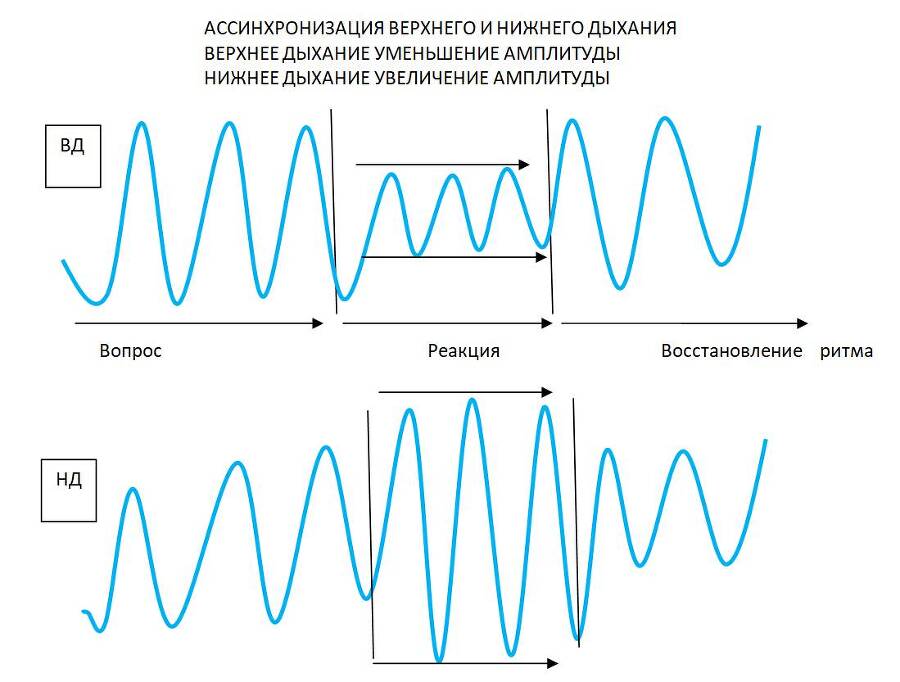 Детекция лжи от А до Я - _22.jpg