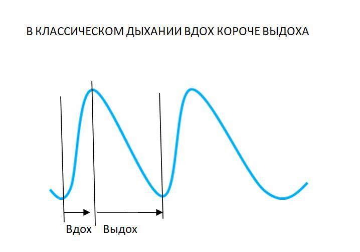 Детекция лжи от А до Я - _23.jpg