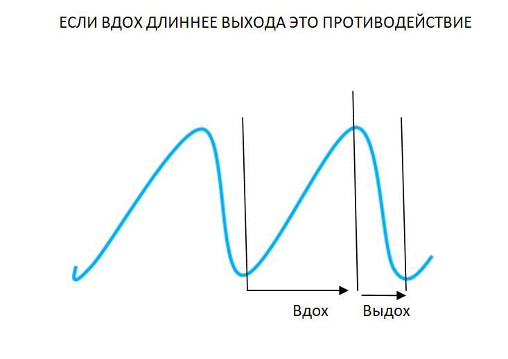 Детекция лжи от А до Я - _24.jpg