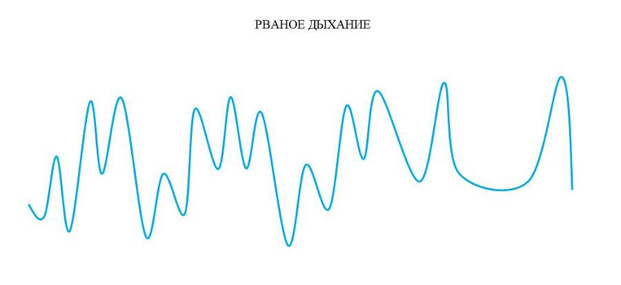 Детекция лжи от А до Я - _29.jpg